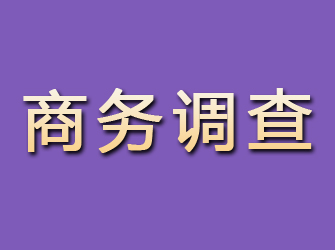 元谋商务调查